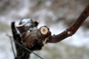 upload/Aktuell/2012-1.jpg