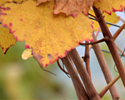 upload/Aktuell/4-09.jpg