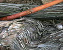 upload/Aktuell/Gerodet1.jpg