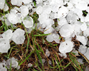 upload/Aktuell/Hagel.jpg