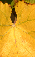 upload/Aktuell/Impr.jpg