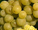 upload/Aktuell/Lese06-1.jpg