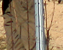 upload/Aktuell/Rebschnittklein.jpg