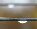 upload/Aktuell/Regen2.jpg