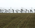 upload/Aktuell/endlichklein.jpg